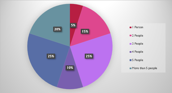 Pie chart showing household size of survey participants